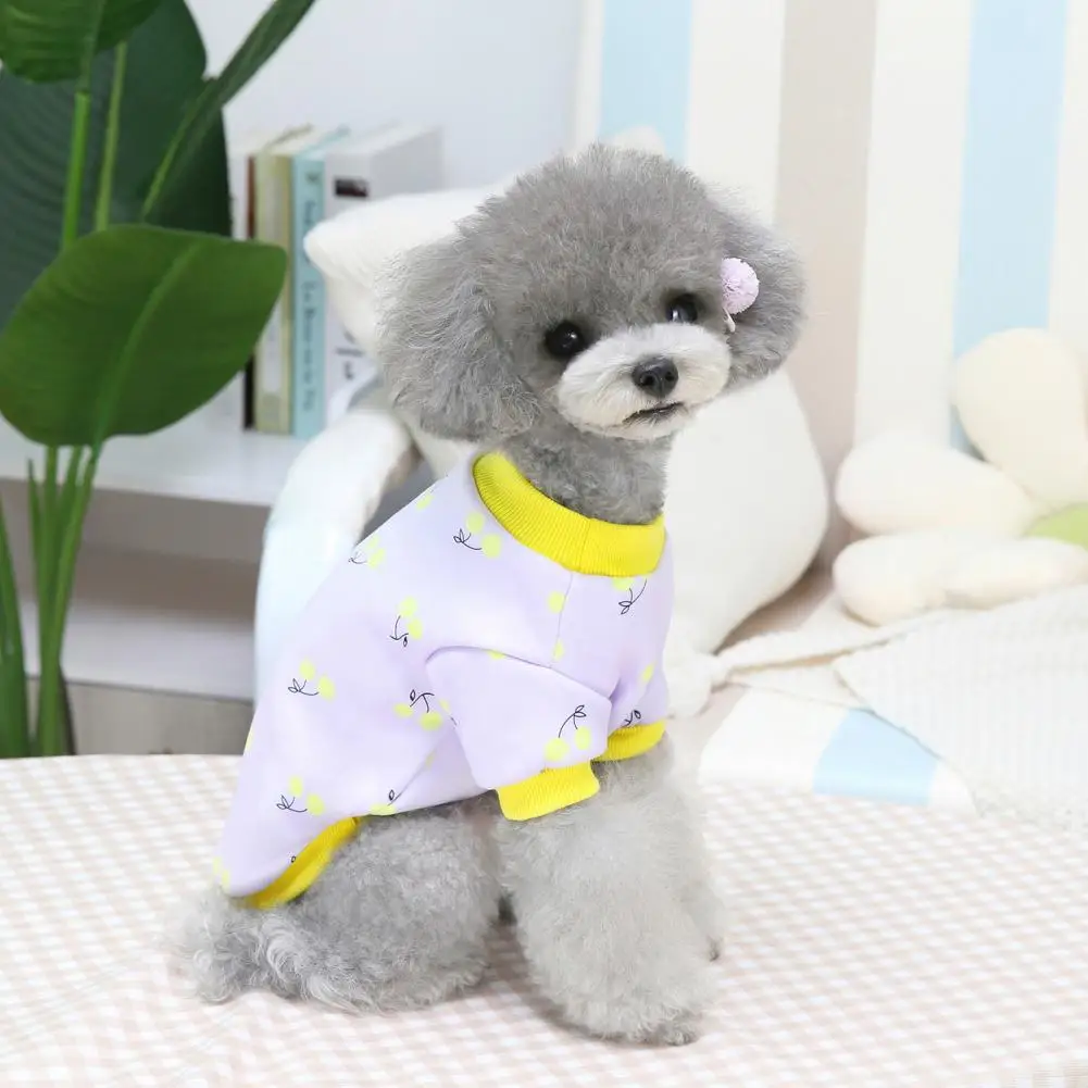 Comfortable Pretty Warm Dogs Short Sleeve Tops Clothing Two-leg Dog Sweatshirt Lovely for Indoor 
Comfortable Pretty Warm Dogs Short Sleeve Tops Clothing Two-leg Dog Sweatshirt Lovely for Indoor