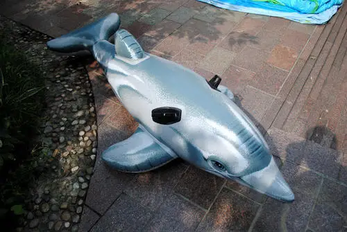 Hot sale summer vocation kids inflatable games dolphine swimming pool.175*66 inflatable games swimmer
Hot sale summer vocation kids inflatable games dolphine swimming pool.175*66 inflatable games swimmer