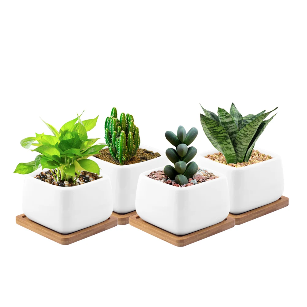 2/4/6pcs White Ceramic Succulent Plant PotMini Glazed Geometric Bonsai Planter Desktop Porcelain Flower Pot Home Decor
2/4/6pcs White Ceramic Succulent Plant PotMini Glazed Geometric Bonsai Planter Desktop Porcelain Flower Pot Home Decor