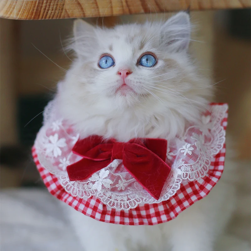 Pet Dog Red Velvet Bowknot Cute Collars Bib For Small Medium Dog Neck Bibs Teddy Chihuahua Puppy Dog Cats Jewelry Accessories
Pet Dog Red Velvet Bowknot Cute Collars Bib For Small Medium Dog Neck Bibs Teddy Chihuahua Puppy Dog Cats Jewelry Accessories