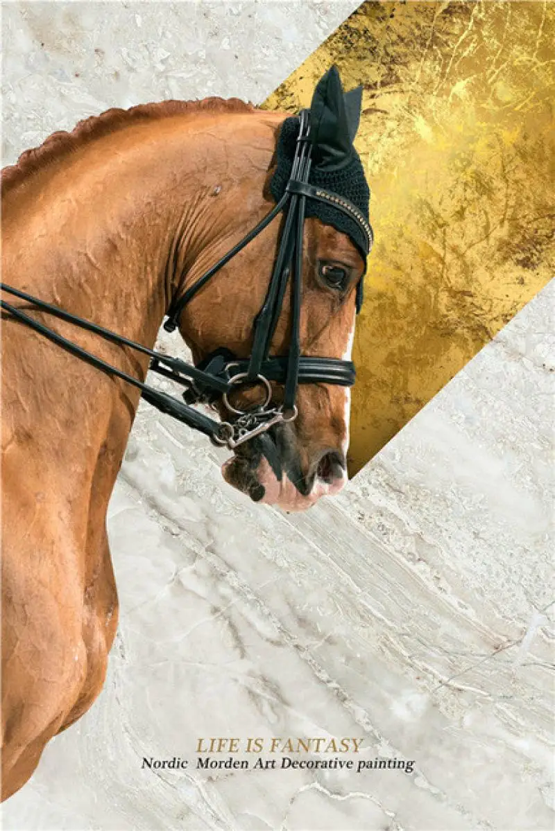 Modern Home Decoration Painting Animal Photography Black Brown Horse Saddle Photo Art Poster and Print Living Room Wall Art
Modern Home Decoration Painting Animal Photography Black Brown Horse Saddle Photo Art Poster and Print Living Room Wall Art