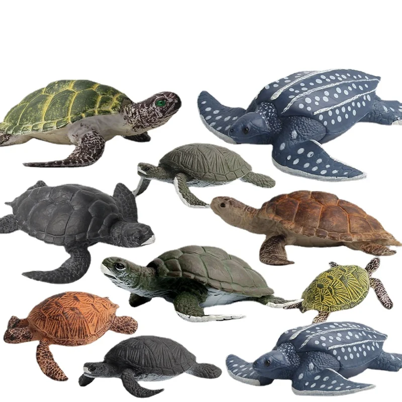 

Simulation Animal Marine Biological Model Turtle Growth Cycle Model Educational Toys Childrens Cognitive Toys Desktop Ornaments