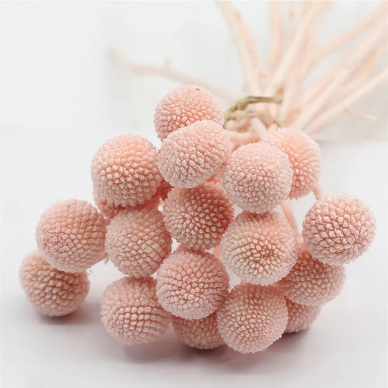 10Pcs Dried Natural Flowers Large Bouquet Party Bedroom Decoration Ramadan Home Table Centerpieces
10Pcs Dried Natural Flowers Large Bouquet Party Bedroom Decoration Ramadan Home Table Centerpieces