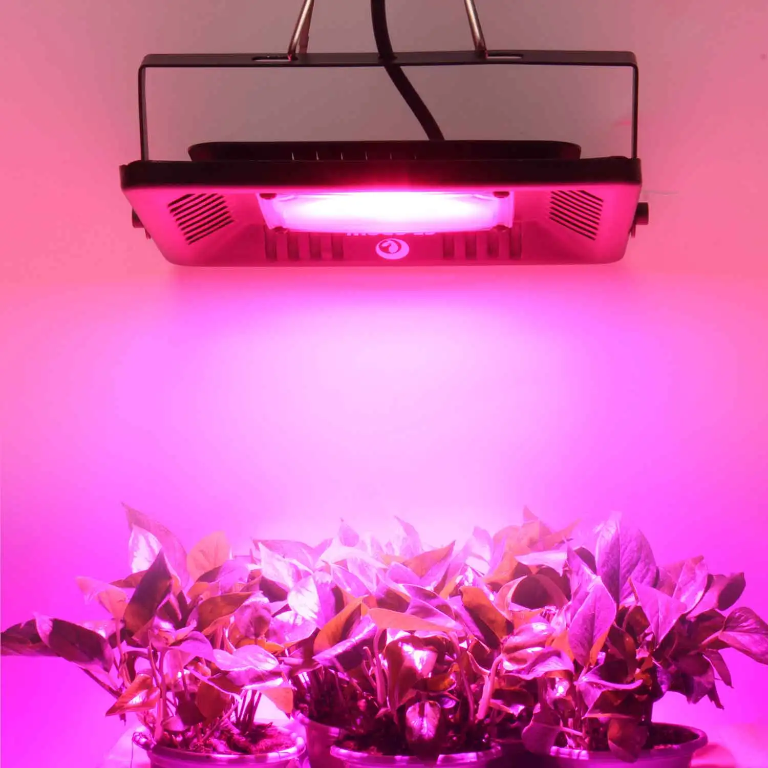 Top Sale Waterproof IP67 100Watts 200Watts Full Spectrum Led Grow Lights For Indoor Plants Tissue Culture Led Grow Lamp
Top Sale Waterproof IP67 100Watts 200Watts Full Spectrum Led Grow Lights For Indoor Plants Tissue Culture Led Grow Lamp