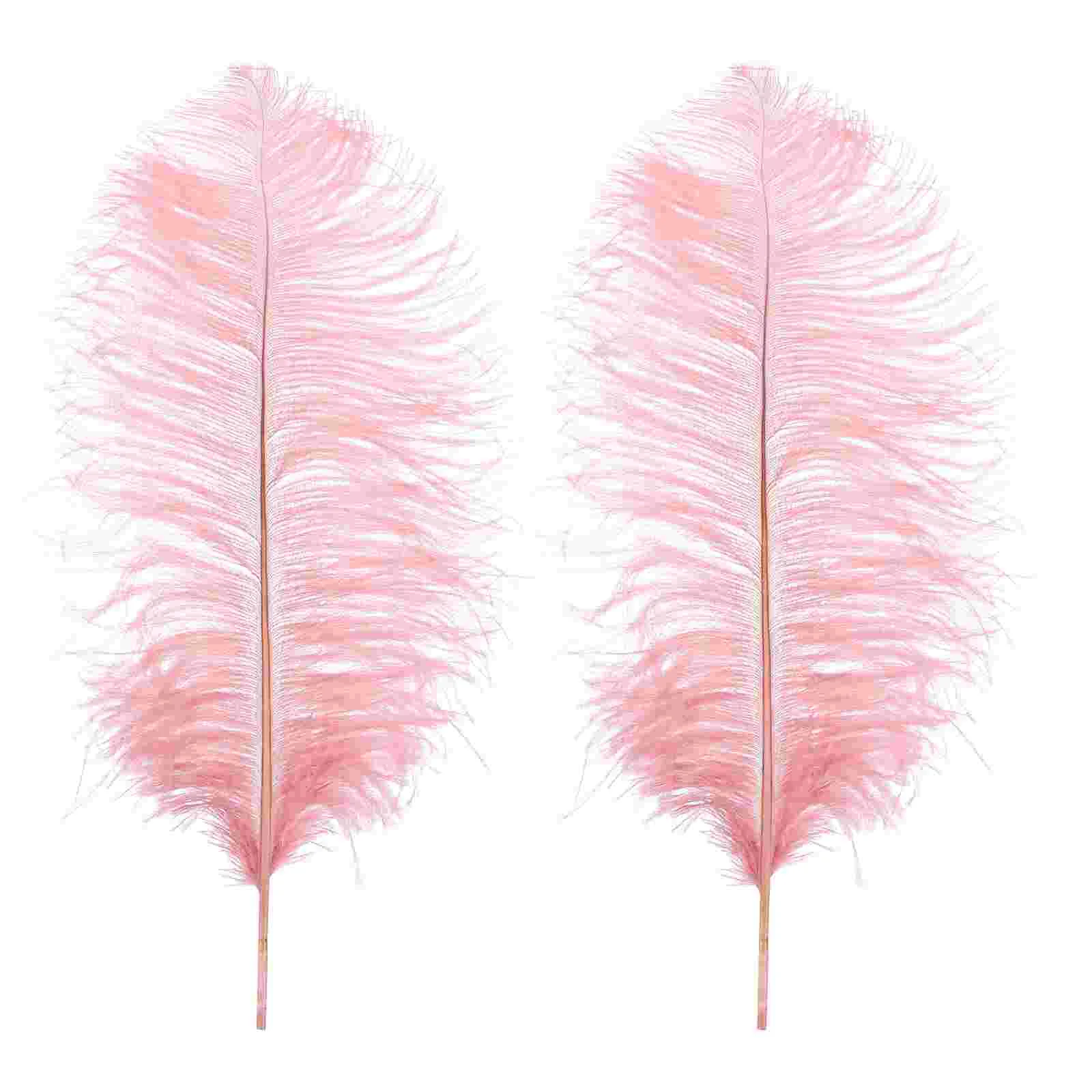 2 Pcs Birds Feathers Decor Wedding Feathers Adorn Pretty Photo Prop Party Decor
2 Pcs Birds Feathers Decor Wedding Feathers Adorn Pretty Photo Prop Party Decor