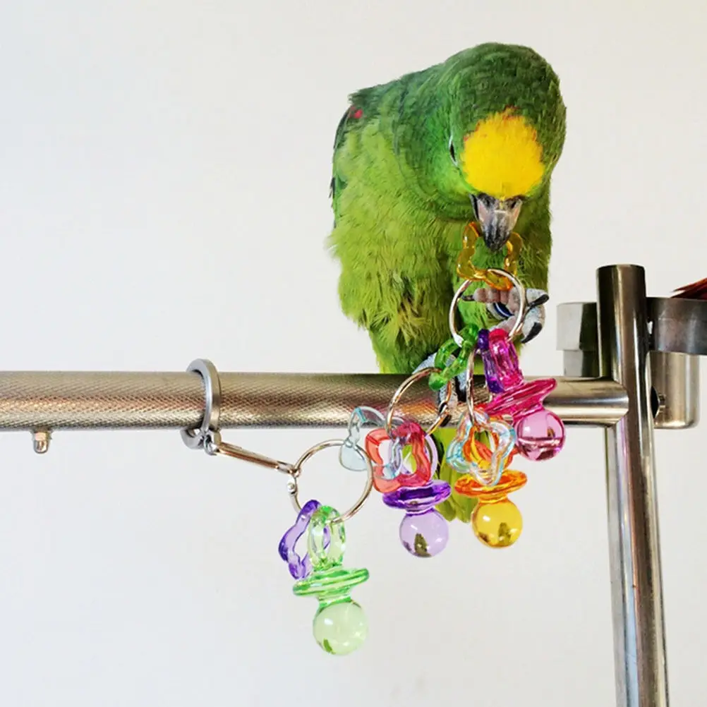 BIRD TOY Parrot Chew Toys Cockatiel Budgie Lovebird Pet Birds Toys Activities Acrylic Little Nipple Bite Toy
BIRD TOY Parrot Chew Toys Cockatiel Budgie Lovebird Pet Birds Toys Activities Acrylic Little Nipple Bite Toy