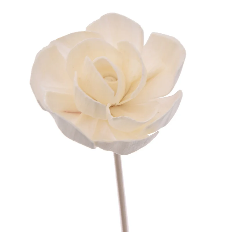 5PCS Flower Shaped No Fire Aroma Diffuser Sticks Household Bedroom Aroma Diffuser Accessories Reed Rattan Stick
5PCS Flower Shaped No Fire Aroma Diffuser Sticks Household Bedroom Aroma Diffuser Accessories Reed Rattan Stick