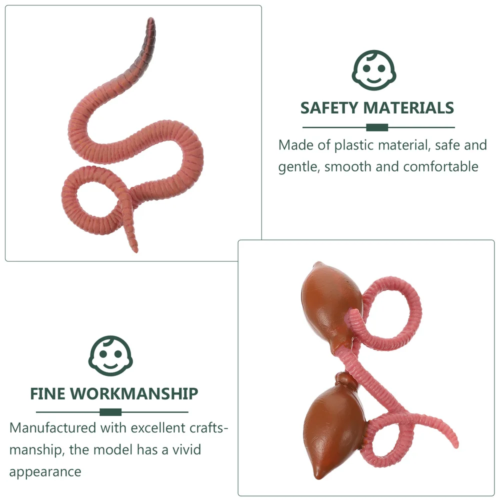 1 Set Educational Model Simulation Insects Earthworms Growth Cycle Models
1 Set Educational Model Simulation Insects Earthworms Growth Cycle Models