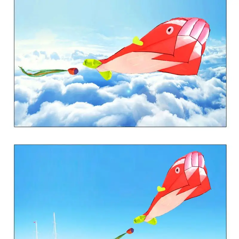 3D Large Blue Dolphin Breeze Beach Kites Frameless Soft Entertainment Sports Family Outdoor Holiday Parent-child Active 
3D Large Blue Dolphin Breeze Beach Kites Frameless Soft Entertainment Sports Family Outdoor Holiday Parent-child Active