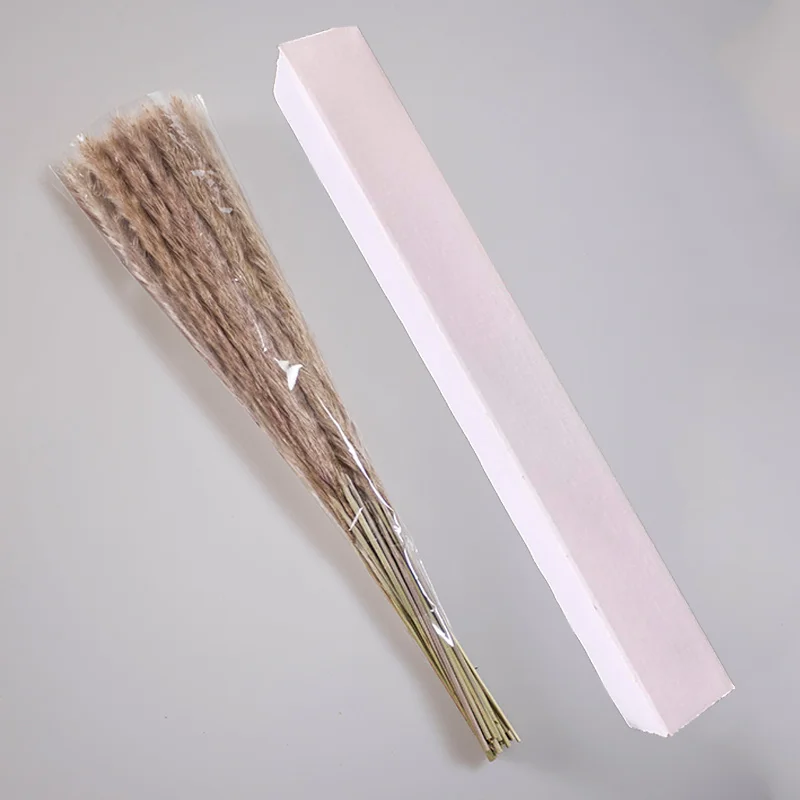 30pcs Natural Dried Pampas Grass Reed Dried Flowers Natural Phragmites Communis Wedding Flower Bunch Home Decor
30pcs Natural Dried Pampas Grass Reed Dried Flowers Natural Phragmites Communis Wedding Flower Bunch Home Decor