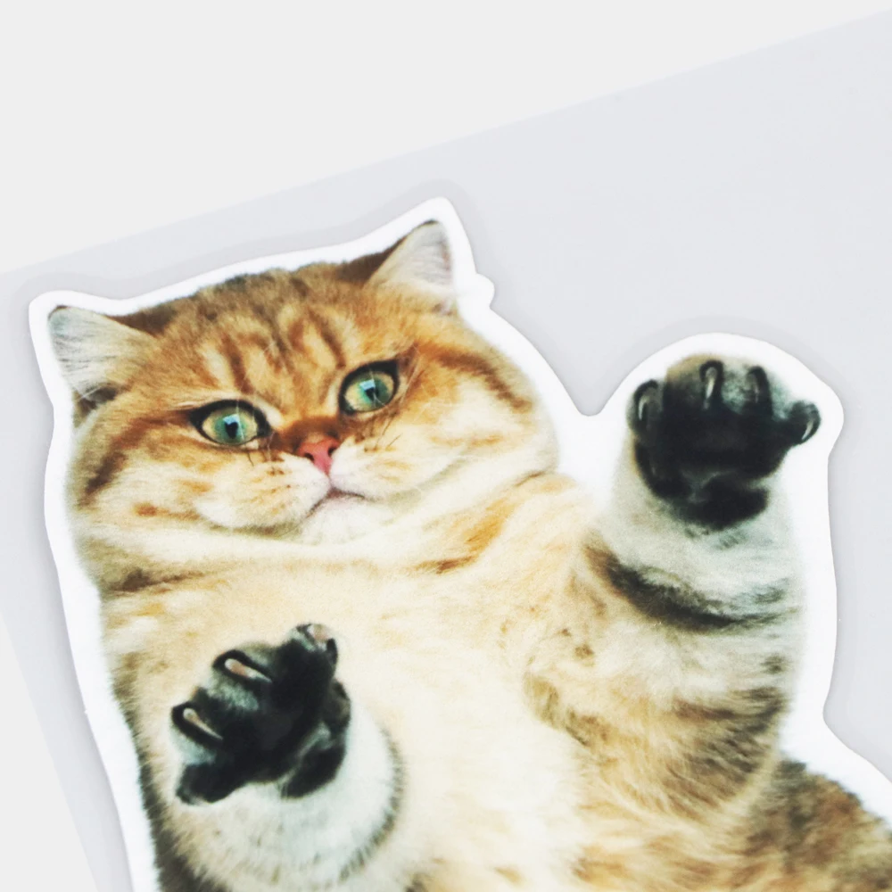 YJZT 17.517.3CM Naughty Standing Shorthair Cat Animal Car Stickers Decoration Accessories 21A-0573
YJZT 17.517.3CM Naughty Standing Shorthair Cat Animal Car Stickers Decoration Accessories 21A-0573