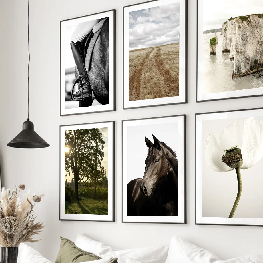 Nordic Poster Horse Riding Flower Field Road Sunset Tree Cliffs Wall Art Print Canvas Painting Decor Pictures For Living Room
Nordic Poster Horse Riding Flower Field Road Sunset Tree Cliffs Wall Art Print Canvas Painting Decor Pictures For Living Room