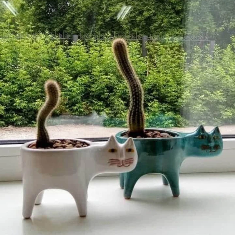 Succulent Plant Pots Interesting Cat Shape Planter Ceramic Garden Pots Ornament For Office Home Desk Decor S7 
Succulent Plant Pots Interesting Cat Shape Planter Ceramic Garden Pots Ornament For Office Home Desk Decor S7