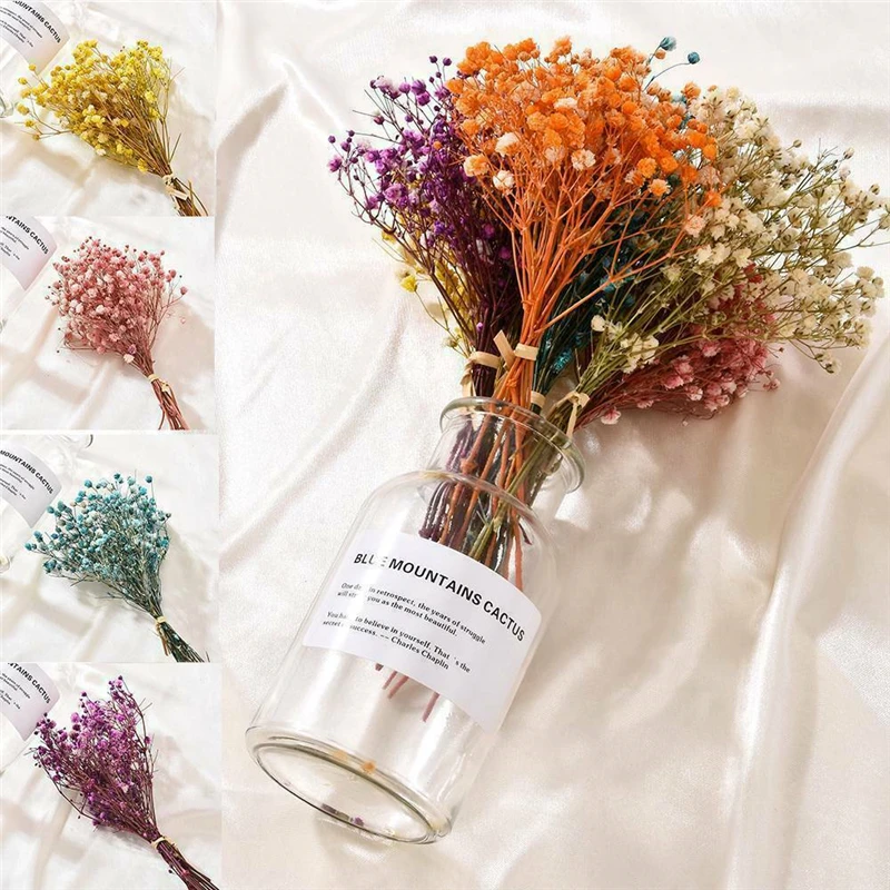 Mini Decorative Dried Flowers Baby Breath Flowers Bouquet Natural Plants preserve Floral for Wedding Home Decor Decoration
Mini Decorative Dried Flowers Baby Breath Flowers Bouquet Natural Plants preserve Floral for Wedding Home Decor Decoration