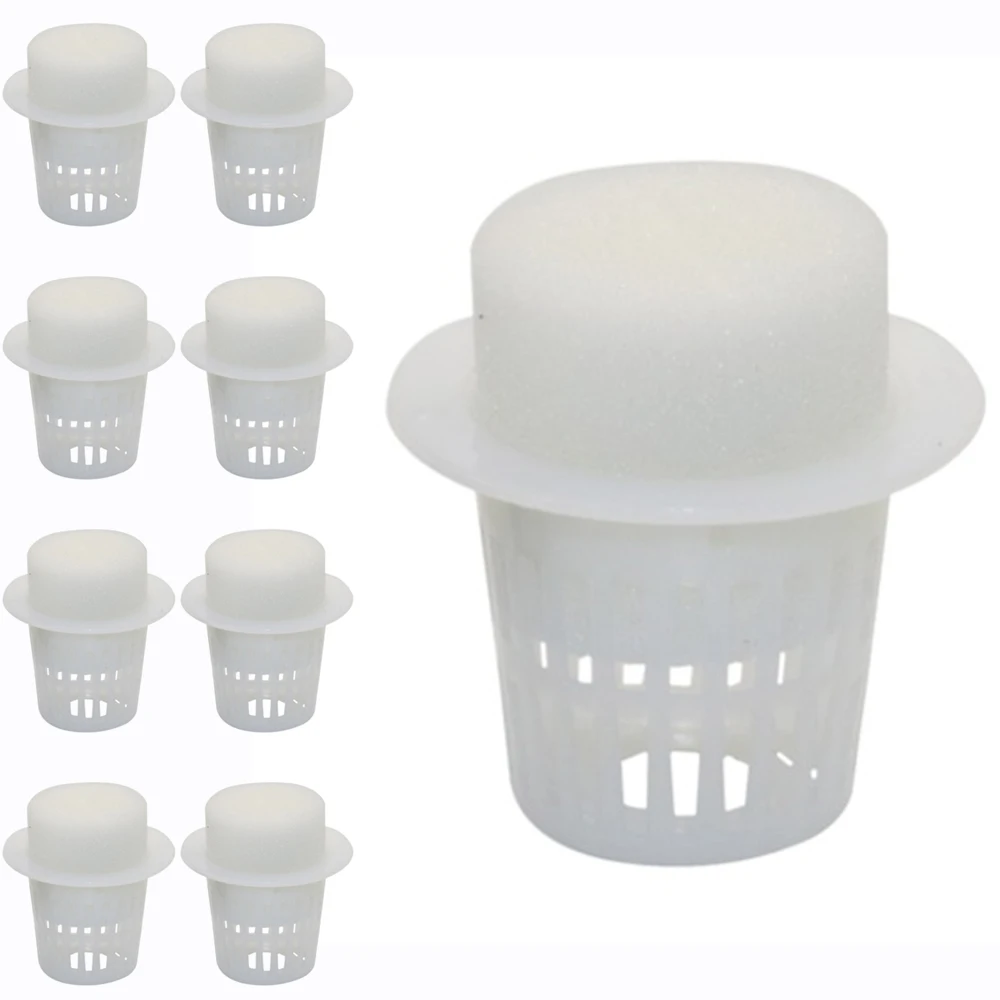 50 Cylinder Sponges And Cups Rhizome Vegetable Garden Plants Soilless Hydroponics Sponge Decoration Plastic Plus Sponge
50 Cylinder Sponges And Cups Rhizome Vegetable Garden Plants Soilless Hydroponics Sponge Decoration Plastic Plus Sponge