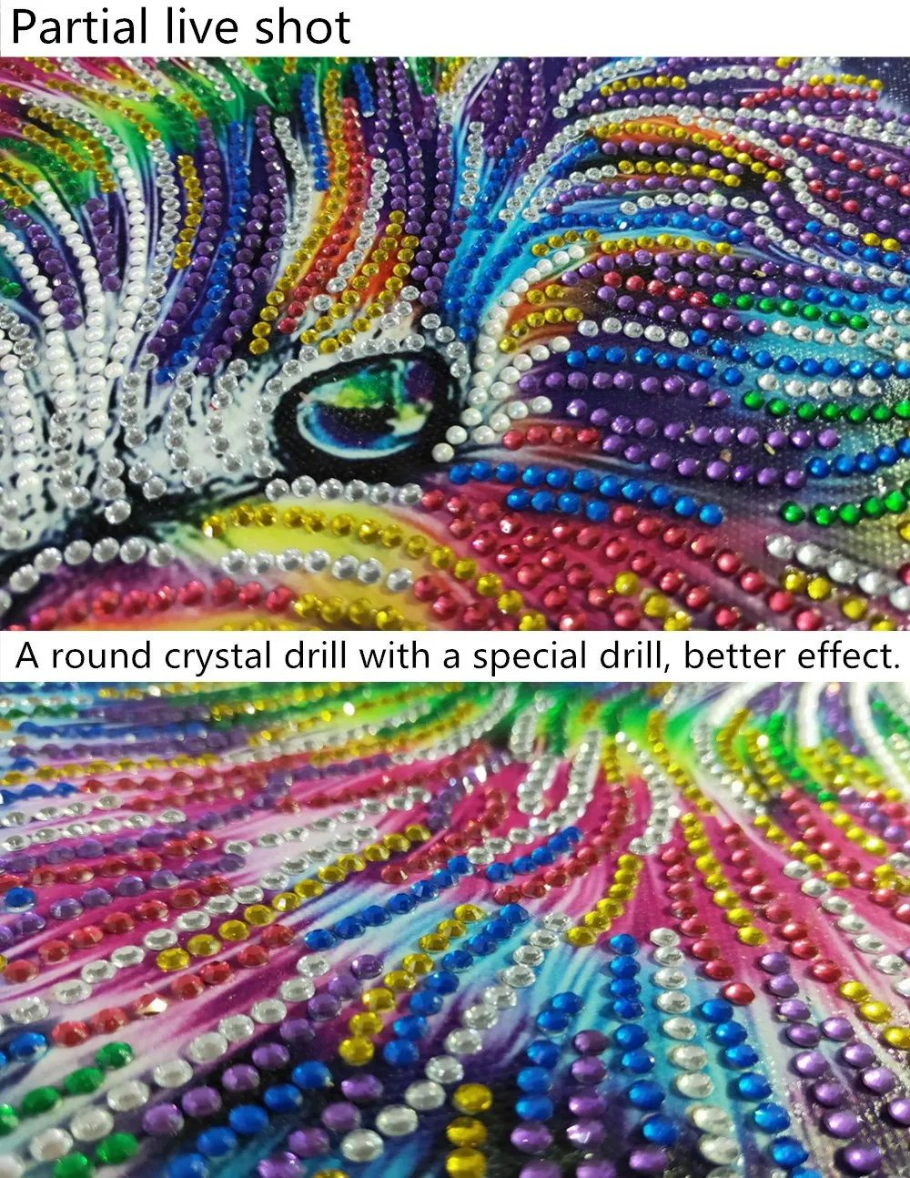 5D Special Shaped Partial Drill Diamond Painting Color Cat Diamond Embroidery Cross Stitch Diamond Mosaic
5D Special Shaped Partial Drill Diamond Painting Color Cat Diamond Embroidery Cross Stitch Diamond Mosaic