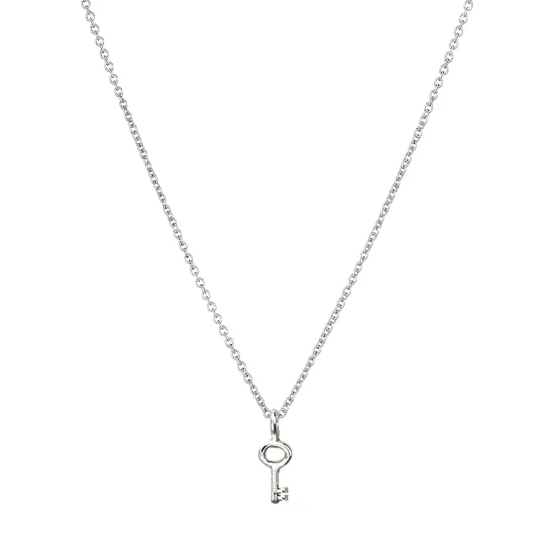 2021 New Key Polishing Color Card Creative Gold Alloy Clavicle Short Simple Ladies Necklace Jewelry Wholesale
2021 New Key Polishing Color Card Creative Gold Alloy Clavicle Short Simple Ladies Necklace Jewelry Wholesale