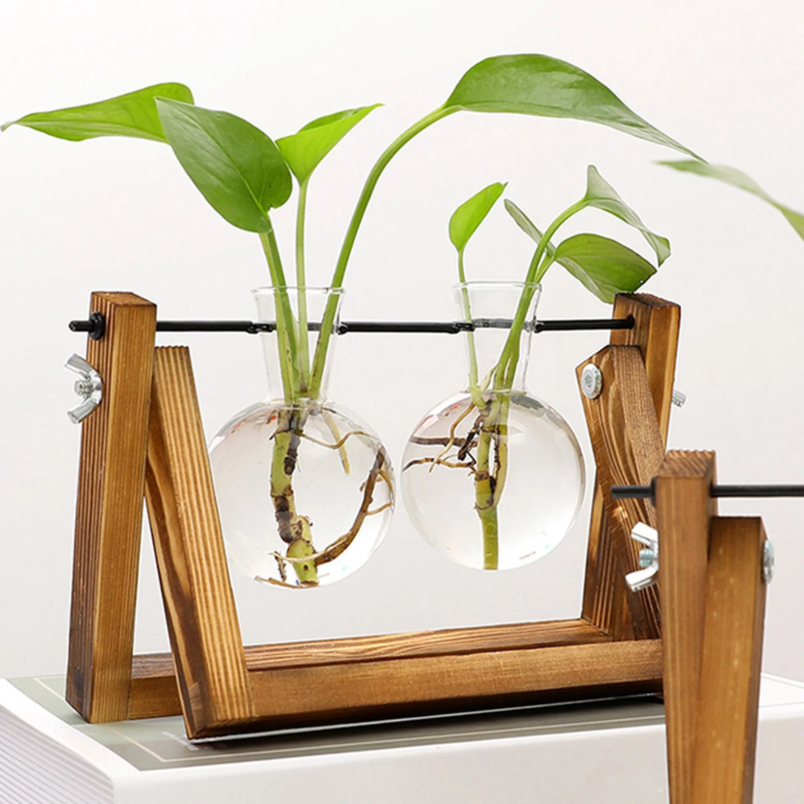 Propagation Station Glass Hydroponic Planter Bulb Terrarium Vase with Retro Wooden Stand for Hydroponics Plants Table Decor
Propagation Station Glass Hydroponic Planter Bulb Terrarium Vase with Retro Wooden Stand for Hydroponics Plants Table Decor