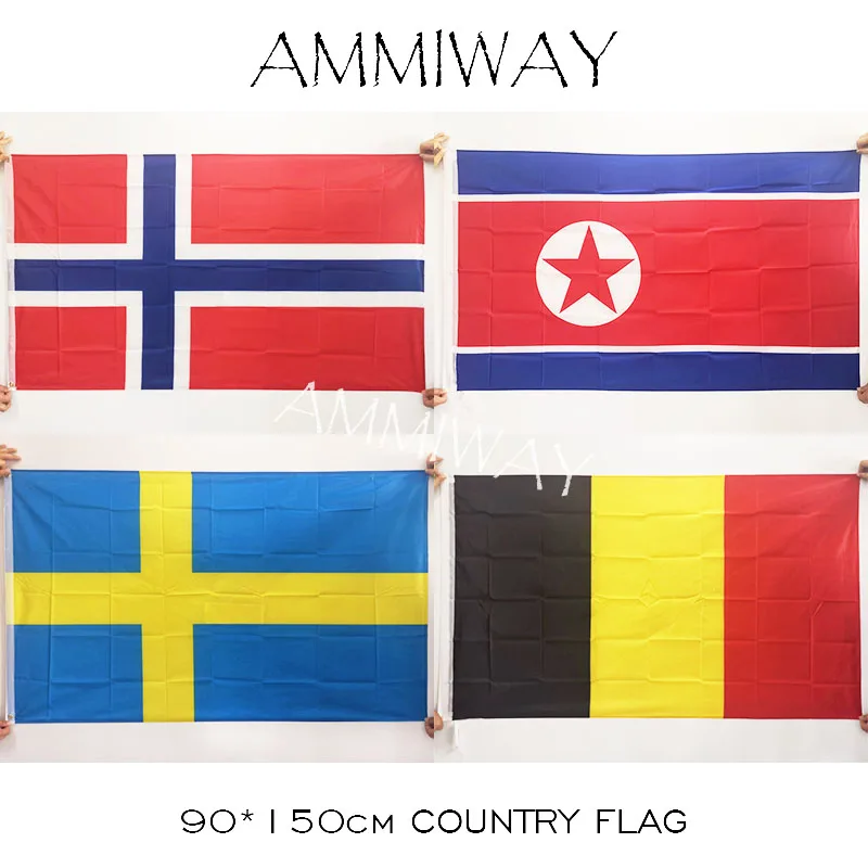 AMMIWAY 90*150 см 3x5 футов Норвегия Северная Корея подвесные государственные флаги и