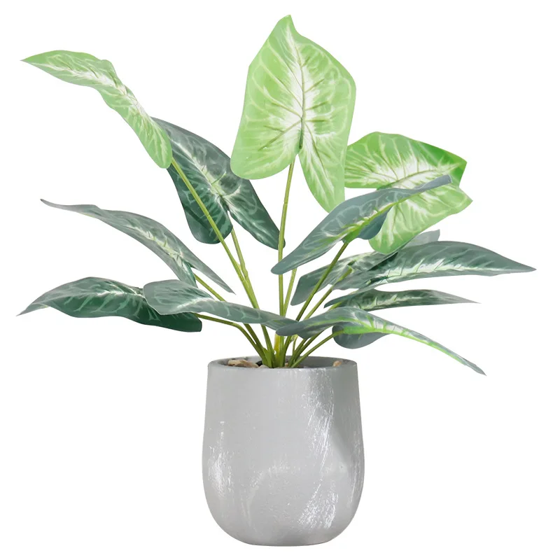 Nordic cement pot turtle leaf simulation plant potted home TV cabinet desktop decoration potted simulation plant
Nordic cement pot turtle leaf simulation plant potted home TV cabinet desktop decoration potted simulation plant