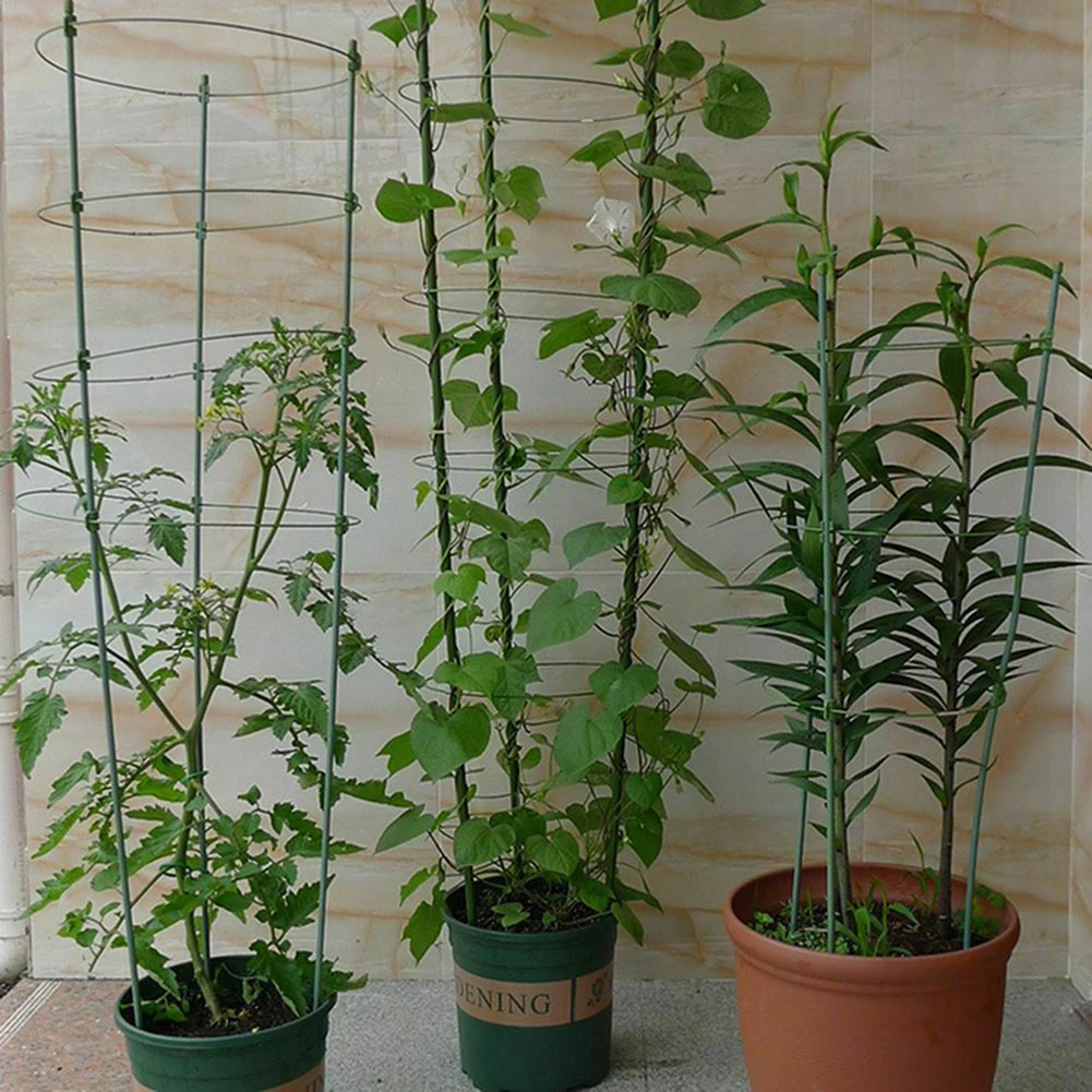 Plant Support Stand Cage Garden Trellis Tomato Flowers Home 45cm Vegetables Plant Trellis Gardening Tools
Plant Support Stand Cage Garden Trellis Tomato Flowers Home 45cm Vegetables Plant Trellis Gardening Tools