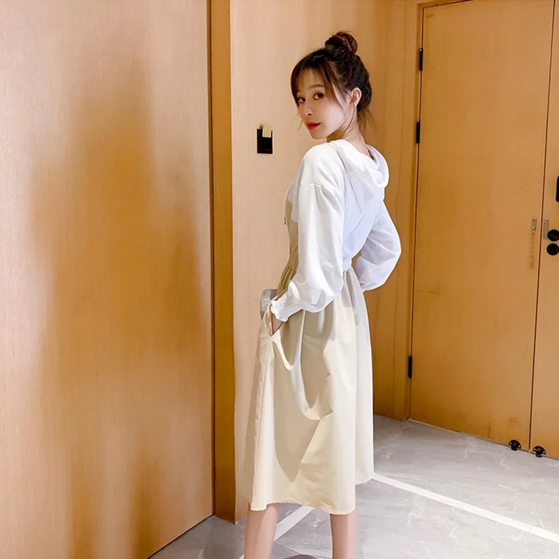 Dress New Autumn Dresses For Womens 2021 Y2k Plus Size Clothing Casual Gothic Clothes Kawaii Hoodies Korean Fashion Long Sleeve
Dress New Autumn Dresses For Womens 2021 Y2k Plus Size Clothing Casual Gothic Clothes Kawaii Hoodies Korean Fashion Long Sleeve