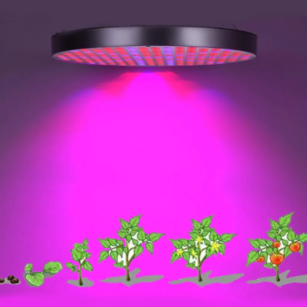 50W LED Plant Grow Lights UFO 250 LEDs Indoor Plants Growing Lamp Bulbs With Red Blue Spectrum Hydroponics Plant Kit
50W LED Plant Grow Lights UFO 250 LEDs Indoor Plants Growing Lamp Bulbs With Red Blue Spectrum Hydroponics Plant Kit
