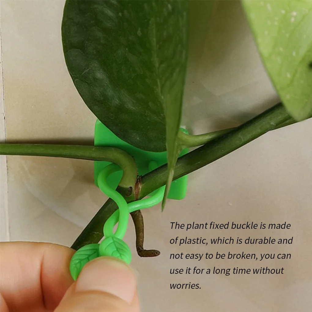 Plant climbing wall Self-Adhesive Fastener Tied fixture Vine Buckle Hook Garden plant wall climbing Vine Clips Fixed Buckle Hook
Plant climbing wall Self-Adhesive Fastener Tied fixture Vine Buckle Hook Garden plant wall climbing Vine Clips Fixed Buckle Hook