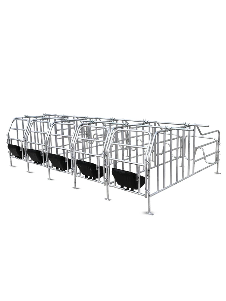 TT Customized Sow Anchor Bar 10-Seat Thickened Care Pig Maternity Bed Floor-Standing Farm Equipment Pig Fence
TT Customized Sow Anchor Bar 10-Seat Thickened Care Pig Maternity Bed Floor-Standing Farm Equipment Pig Fence