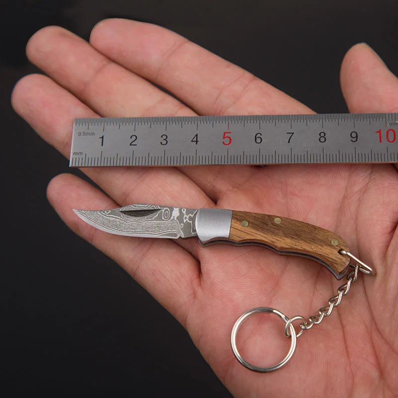 High Quality Portable Stainless steel mini folding knife ladies self-defense fruit knife keychain
High Quality Portable Stainless steel mini folding knife ladies self-defense fruit knife keychain