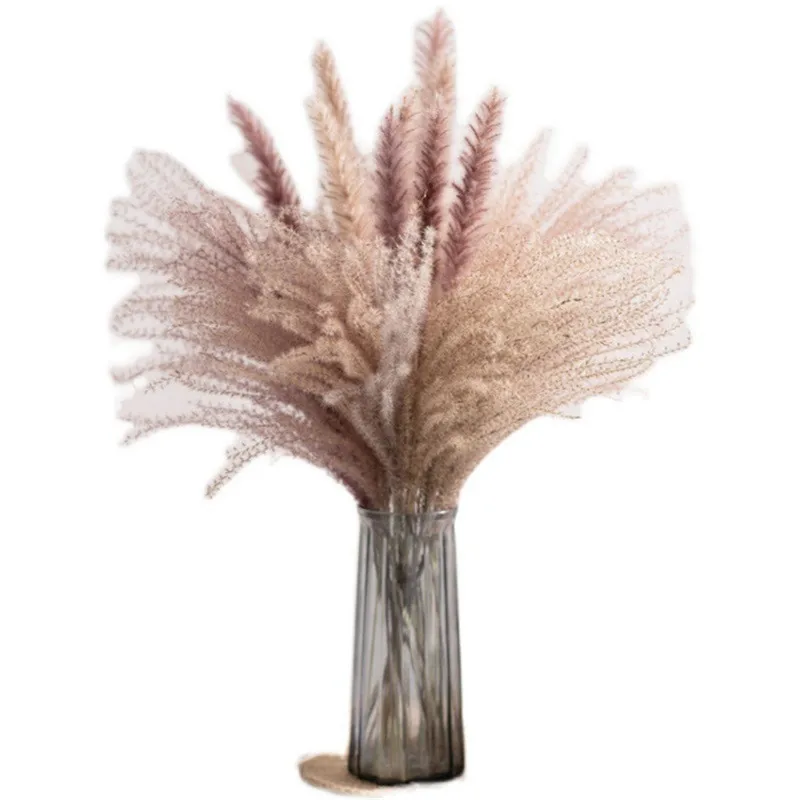 Yunnan Hot Selling Product Dried Horse Tail Grass Long Lasting Natural Flower Bouquet For Home House Indoor Table Cabinet Decor
Yunnan Hot Selling Product Dried Horse Tail Grass Long Lasting Natural Flower Bouquet For Home House Indoor Table Cabinet Decor