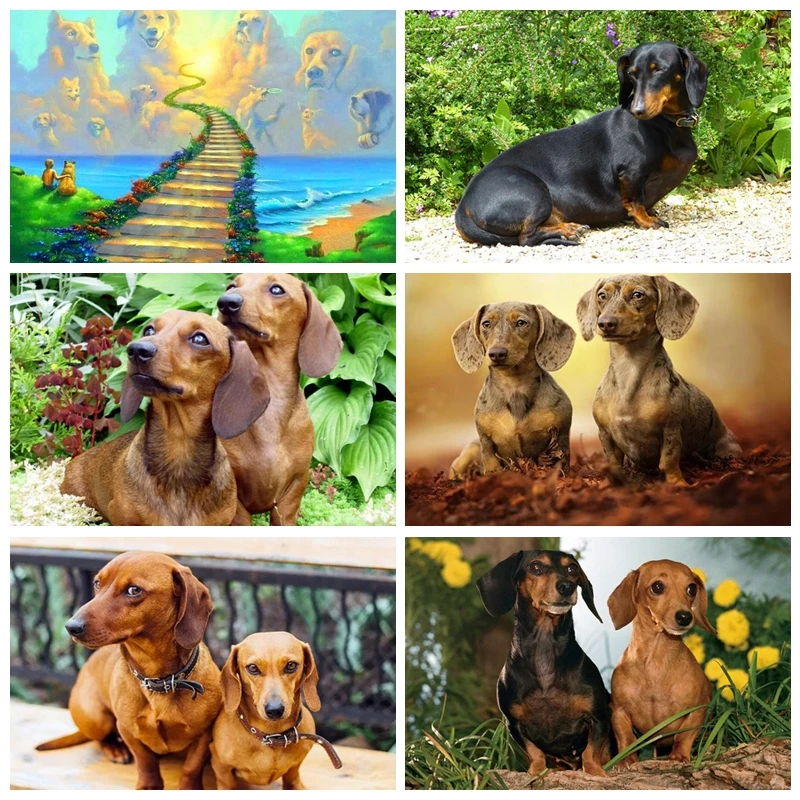 5D Diamond Painting Animal Picture Round Jewelry Embroidery Kit Castle Complete Mosaic Design Crafts Home Decor Gift
5D Diamond Painting Animal Picture Round Jewelry Embroidery Kit Castle Complete Mosaic Design Crafts Home Decor Gift