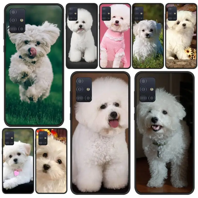 Bichon frise dog puppy Phone Case For Samsung S5 S6 S7 S8 S9 S10 S20 S21 Edge Plus E Fe Lite
Bichon frise dog puppy Phone Case For Samsung S5 S6 S7 S8 S9 S10 S20 S21 Edge Plus E Fe Lite