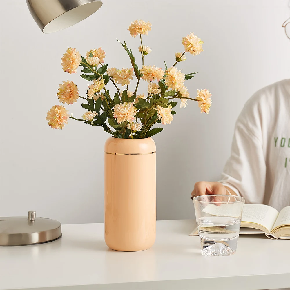 Nordic Home Decoration Ceramic Vase Simple Style Living Room Bedroom Home Decor Accessories Plant Vase Ceramic Vases for Decor
Nordic Home Decoration Ceramic Vase Simple Style Living Room Bedroom Home Decor Accessories Plant Vase Ceramic Vases for Decor