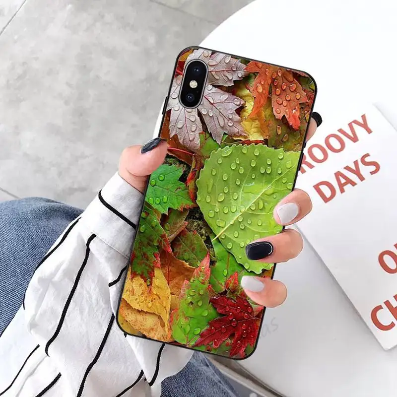 Leaf plant pattern Phone Case for iPhone 11 12 pro XS MAX 8 7 6 6S Plus X 5S SE 2020 XR
Leaf plant pattern Phone Case for iPhone 11 12 pro XS MAX 8 7 6 6S Plus X 5S SE 2020 XR