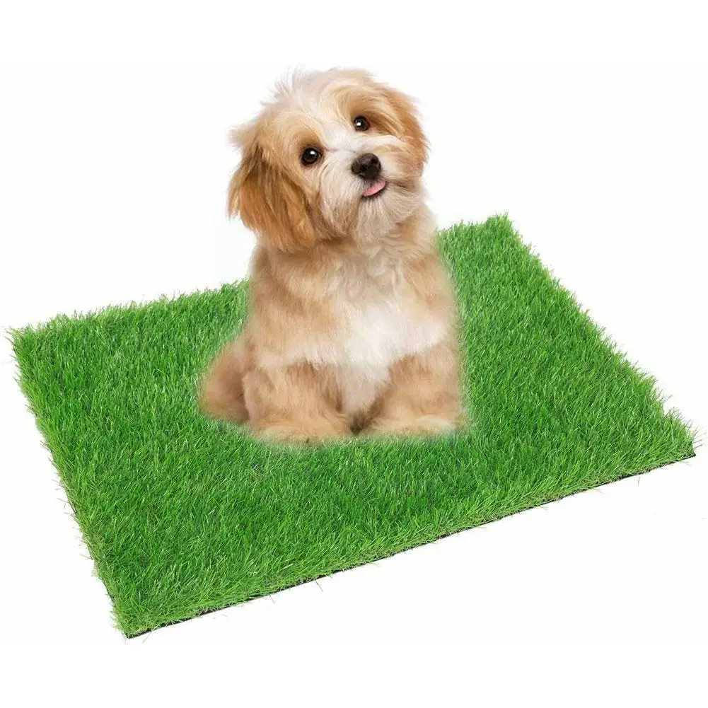 Cat Dog Grass Toilet Mat Indoor Potty Trainer Grass Pet Toilet Turf Bedpan Kitten Pet Clean Pad Dog Supplies Toilette Patch U3H5
Cat Dog Grass Toilet Mat Indoor Potty Trainer Grass Pet Toilet Turf Bedpan Kitten Pet Clean Pad Dog Supplies Toilette Patch U3H5
