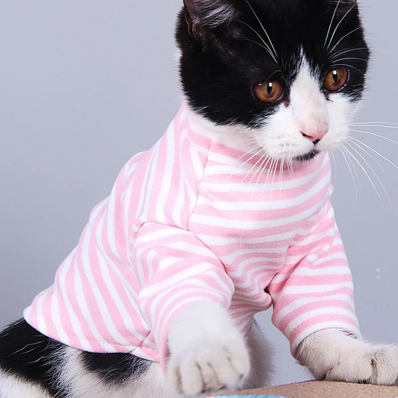 Winter Pet Dog Clothes Warm Stripe Pet Clothes for Chihuahua Shih Tzu Pets Puppy Cat Sweatshirt Clothing Pet Apparel XS-XL
Winter Pet Dog Clothes Warm Stripe Pet Clothes for Chihuahua Shih Tzu Pets Puppy Cat Sweatshirt Clothing Pet Apparel XS-XL