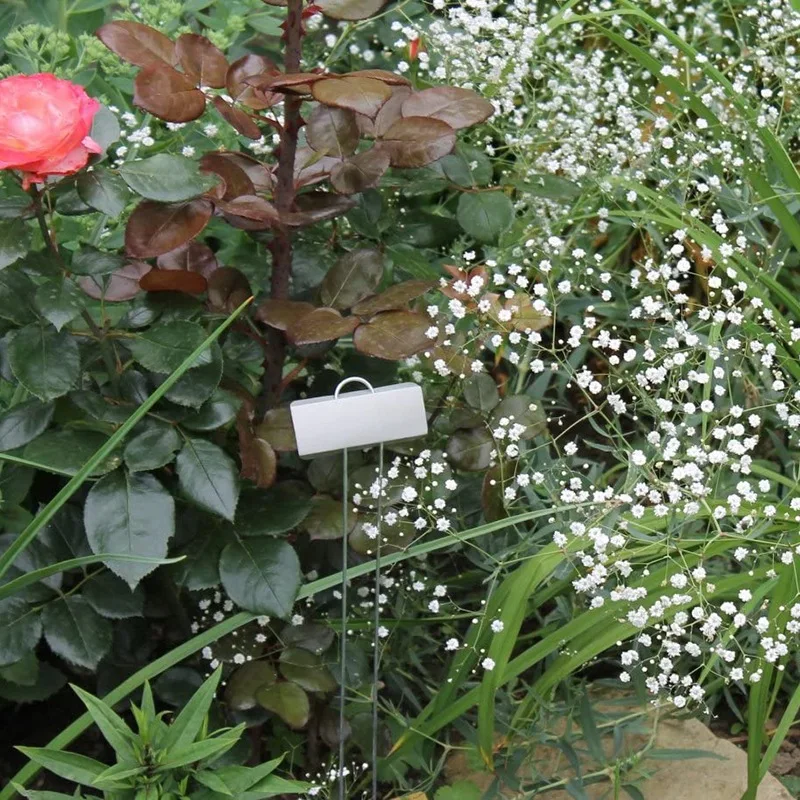 25 Packs of Metal Plant Labels, Garden Flower Potted Plant Signs, Waterproof Plant Sign
25 Packs of Metal Plant Labels, Garden Flower Potted Plant Signs, Waterproof Plant Sign