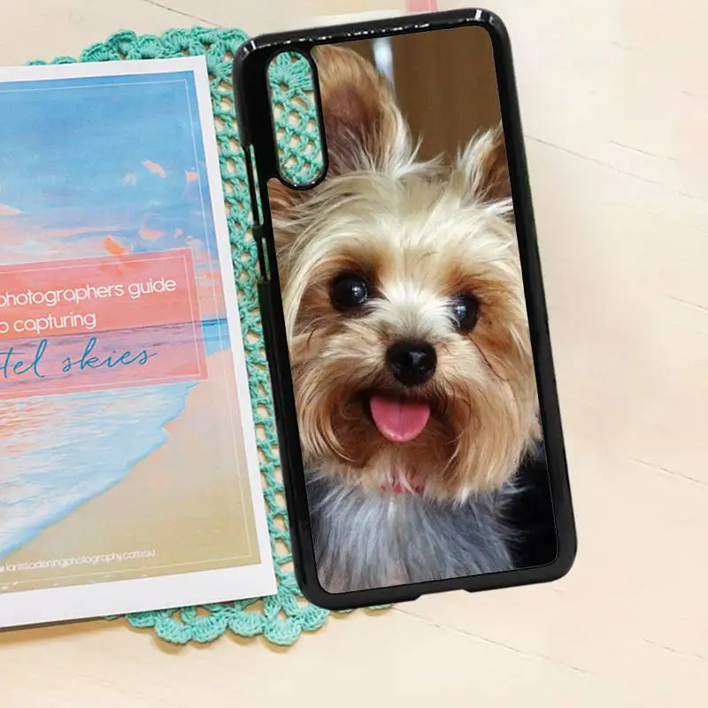 Yorkshire terrier dog Cute animal high quality luxury Phone CasePC for iPhone 11 12 pro XS MAX 8 7 6 6S Plus X 5S SE 2020 XR
Yorkshire terrier dog Cute animal high quality luxury Phone CasePC for iPhone 11 12 pro XS MAX 8 7 6 6S Plus X 5S SE 2020 XR