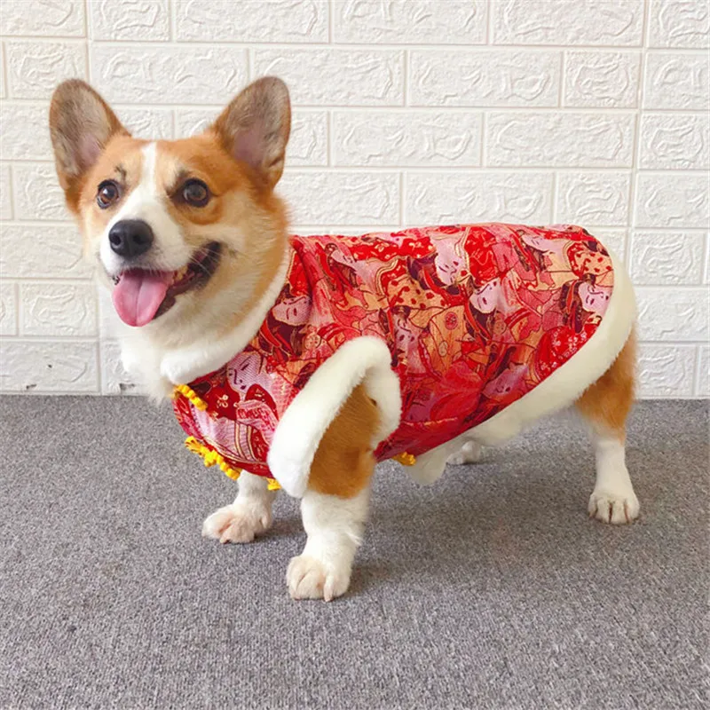 Pembroke Welsh Corgi Clothes Winter Pet Coat Jacket Vest Chinese New Year Dog Clothing Poodle Bichon Pug Puppy Costume Outfit
Pembroke Welsh Corgi Clothes Winter Pet Coat Jacket Vest Chinese New Year Dog Clothing Poodle Bichon Pug Puppy Costume Outfit