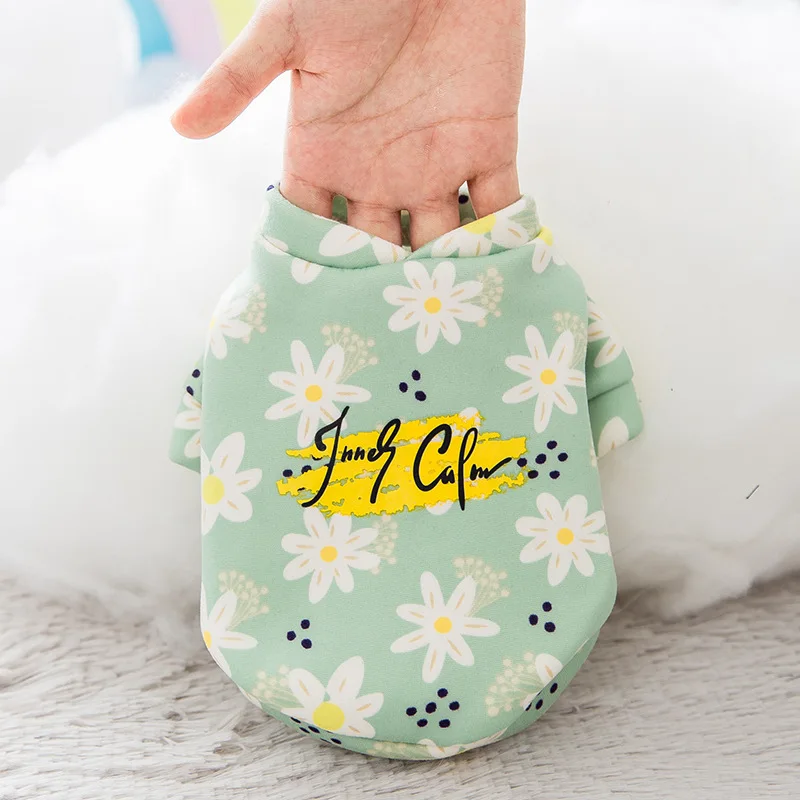 Dog Hoodie Autumn/Winter Pet Cat Clothing Dog Clothes for Small Dogs Chihuahua Poodle Bichon Corgi Yorkshire Pets Costumes
Dog Hoodie Autumn/Winter Pet Cat Clothing Dog Clothes for Small Dogs Chihuahua Poodle Bichon Corgi Yorkshire Pets Costumes