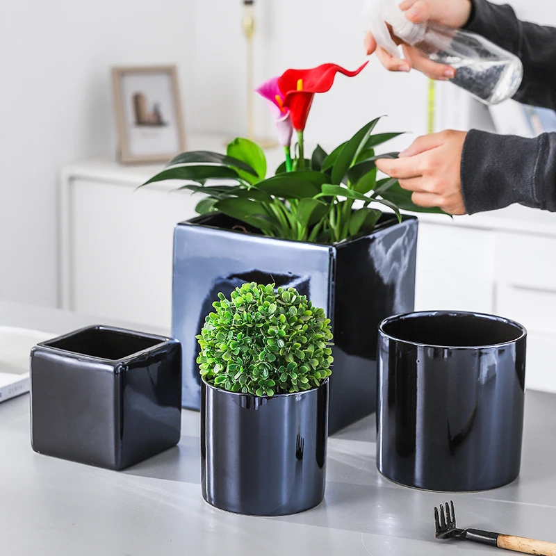 Nordic Creative Cute Plant Pot Indoor Gift Cactus Minimalist Ceramic Plant Pot Desk Macetas Decorativas Home Decoration DG50FP
Nordic Creative Cute Plant Pot Indoor Gift Cactus Minimalist Ceramic Plant Pot Desk Macetas Decorativas Home Decoration DG50FP