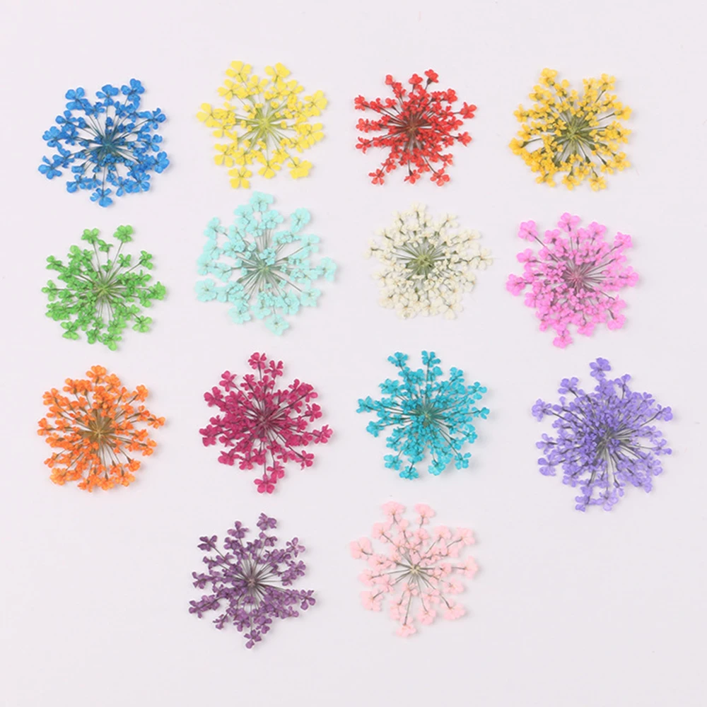 12pcs DIY Dried Flowers Resin Mold Fillings UV Expoxy Flower For Nail Art Pressed Flowers For Home Decor Handicraft
12pcs DIY Dried Flowers Resin Mold Fillings UV Expoxy Flower For Nail Art Pressed Flowers For Home Decor Handicraft