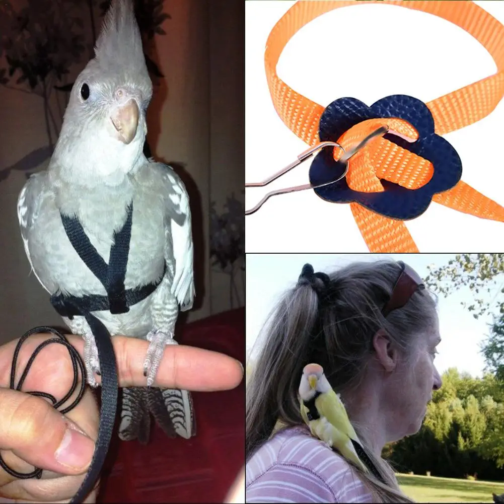1pc Colorful Bird Parrot Leash Outdoor Adjustable Harness Training Rope Anti Bite Flying Band Small Animal Traction Straps
1pc Colorful Bird Parrot Leash Outdoor Adjustable Harness Training Rope Anti Bite Flying Band Small Animal Traction Straps