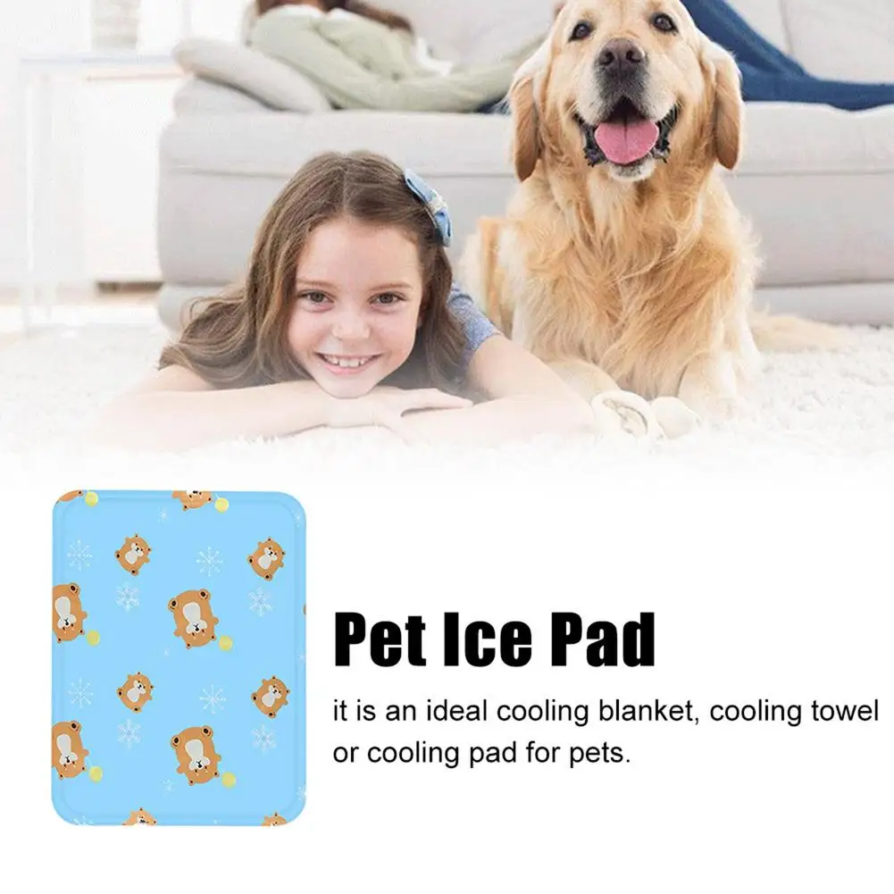 Pet Cooling Mat Summer Ice Pad Dogs Cat Blanket Sofa Breathable Pet Dog Bed Waterproof Washable Large Dogs Cat Mats Dropshipping
Pet Cooling Mat Summer Ice Pad Dogs Cat Blanket Sofa Breathable Pet Dog Bed Waterproof Washable Large Dogs Cat Mats Dropshipping