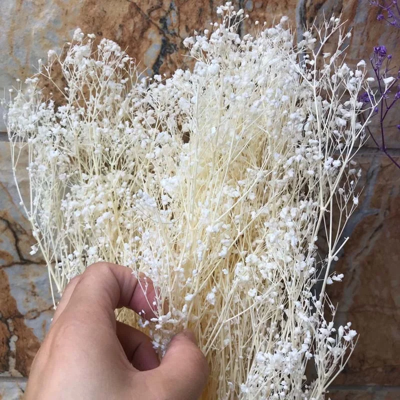 60G Real Natural Fresh Forever Baby Breath Dried Baby Breath Preserved Baby Breath Flowers, Diy Dry Gypsophile Flower Book For
60G Real Natural Fresh Forever Baby Breath Dried Baby Breath Preserved Baby Breath Flowers, Diy Dry Gypsophile Flower Book For