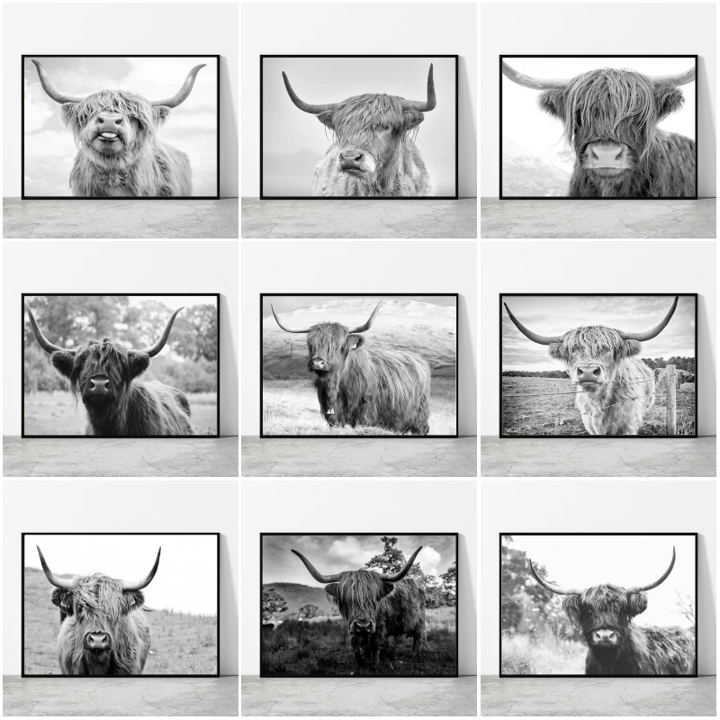 Black and White Highland Cow Canvas Painting Prints and Posters Wild Animals Cattle Canvas Paintings for Living Room Decor
Black and White Highland Cow Canvas Painting Prints and Posters Wild Animals Cattle Canvas Paintings for Living Room Decor