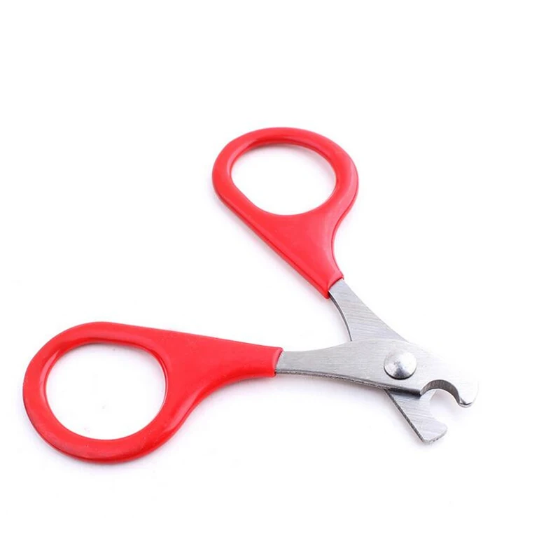 1 шт., ножницы для кошек и щенков
1 шт., ножницы для кошек и щенков