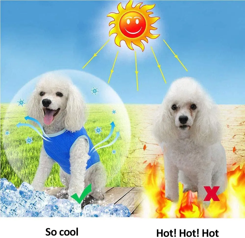 T Shirt Dog Vest Cute Dog Clothes for Small Dogs Yorkies Pomeranians Chihuahua Funny Cat Pets Clothes Dogs Clothing Summer
T Shirt Dog Vest Cute Dog Clothes for Small Dogs Yorkies Pomeranians Chihuahua Funny Cat Pets Clothes Dogs Clothing Summer