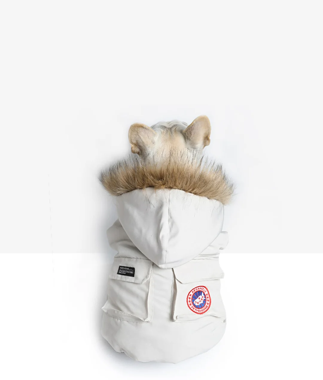 Cotton-Padded Jacket With Thick Cotton Vest Dog Autumn And Winter Warm Coat Corgi Bago Cotton-Padded Jacket School Overcome
Cotton-Padded Jacket With Thick Cotton Vest Dog Autumn And Winter Warm Coat Corgi Bago Cotton-Padded Jacket School Overcome